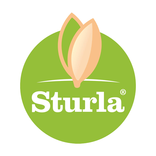 sturla